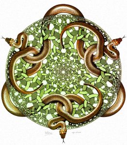 MC-Escher-Snakes-1969